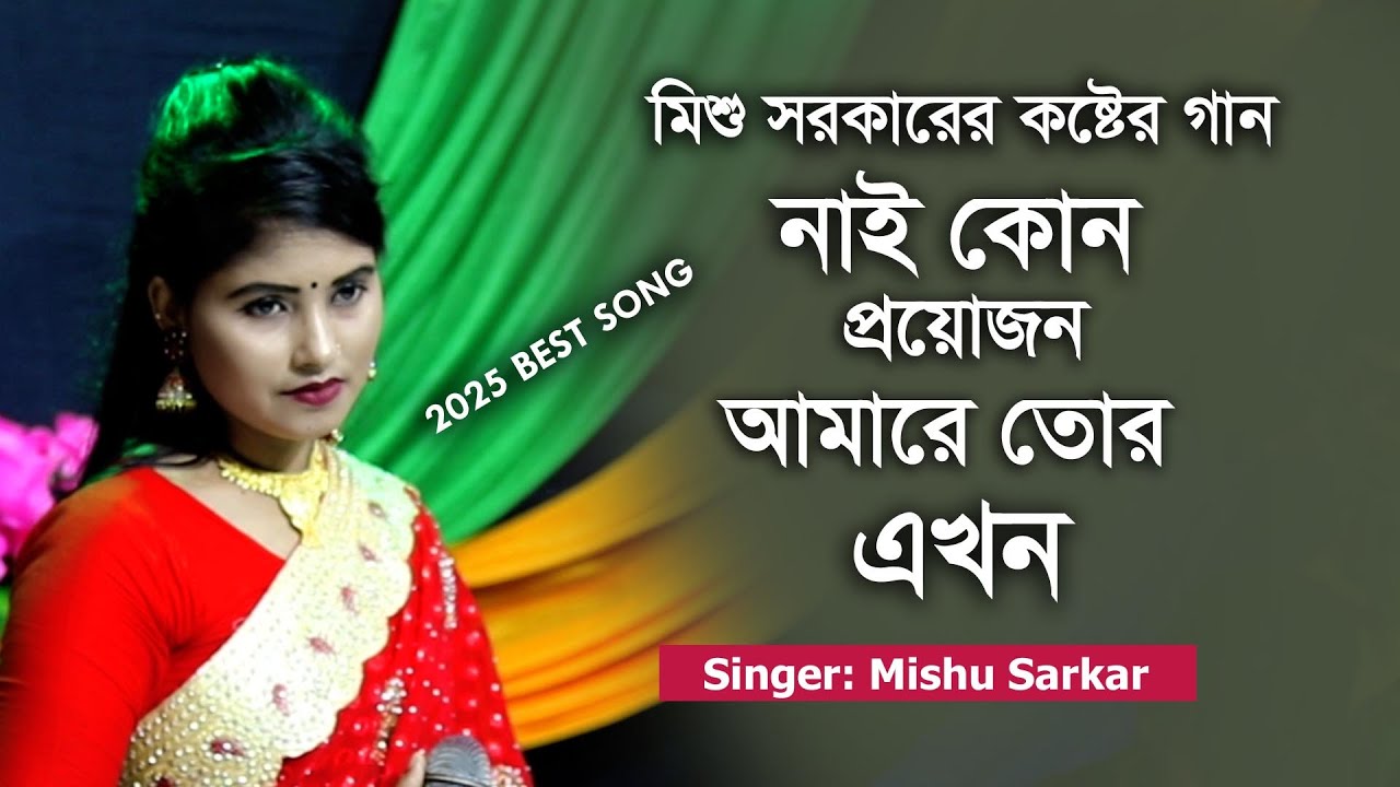 নতুন কষ্টের গান 🔥 নাই কোন প্রয়জন 🔥 মিশু সরকার 🔥 New Sad Song 🔥 New Folk Song 🔥 baul mishu Sarkar