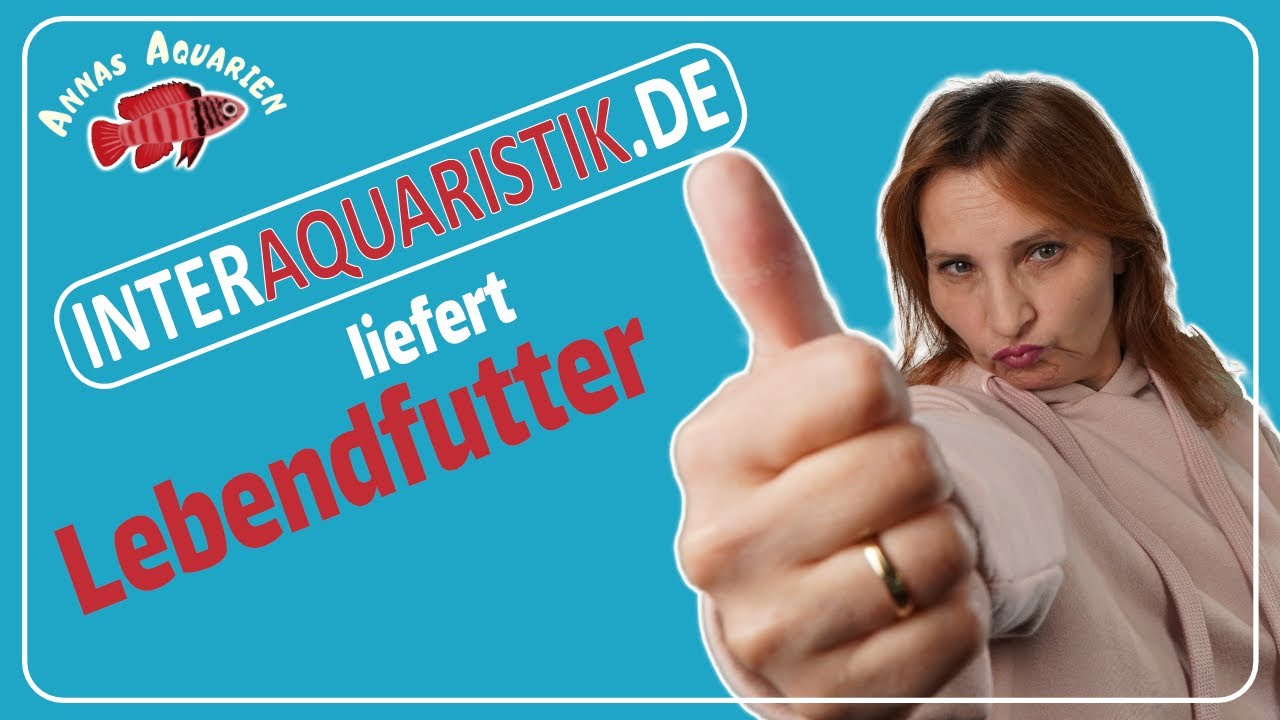 Lebendfutter - Lieferung von Interaquaristik: Glanzwürmer, Moinas Enchyträen