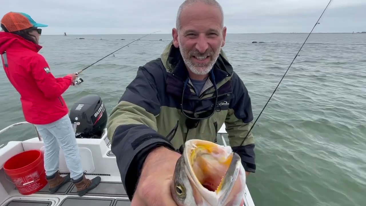 How to Fish for Chesapeake Bay Speckled Trout