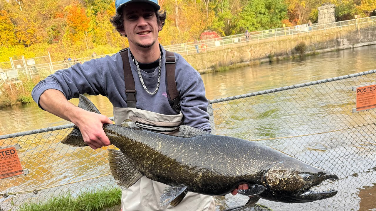 FISH ARE ON THE MOVE!! Oak orchard Salmon fishing Dam report #13