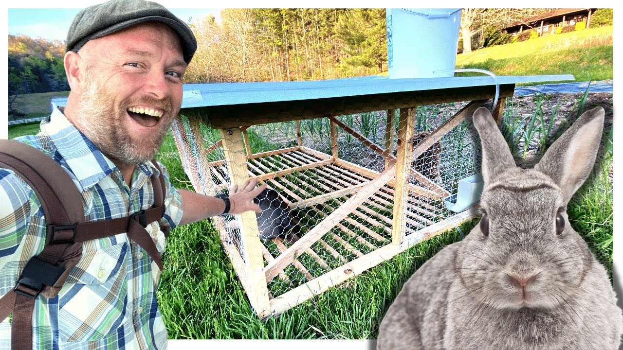 We Built a Rabbit Pen + Put Them In the Garden