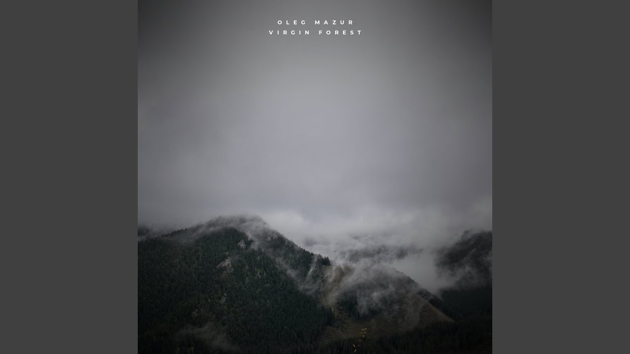 Virgin Forest