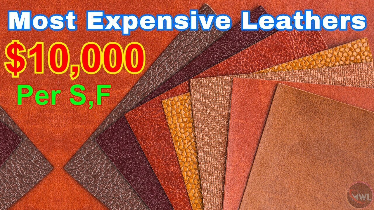 Top 10 Most Expensive Leathers in the World