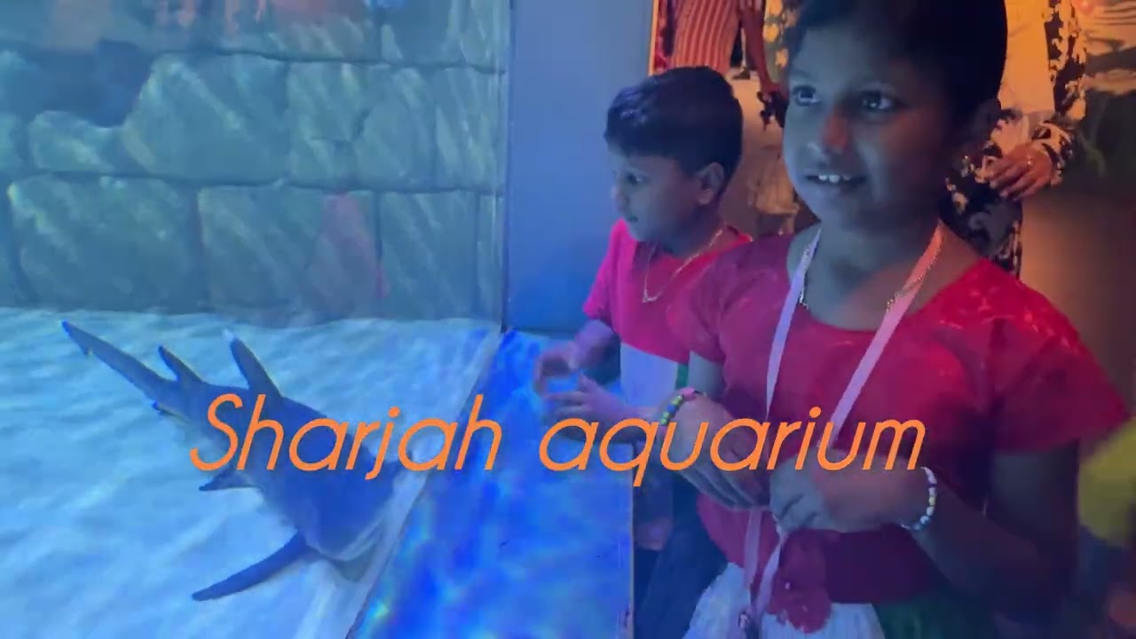 Sharjah aquarium #free ticket#nationaldayoffer#2025#