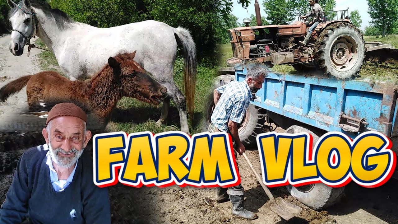 Farm Life: Collecting Animal Manure 🚜 | Plowing Our Fields #farmlife #rurallife #farm