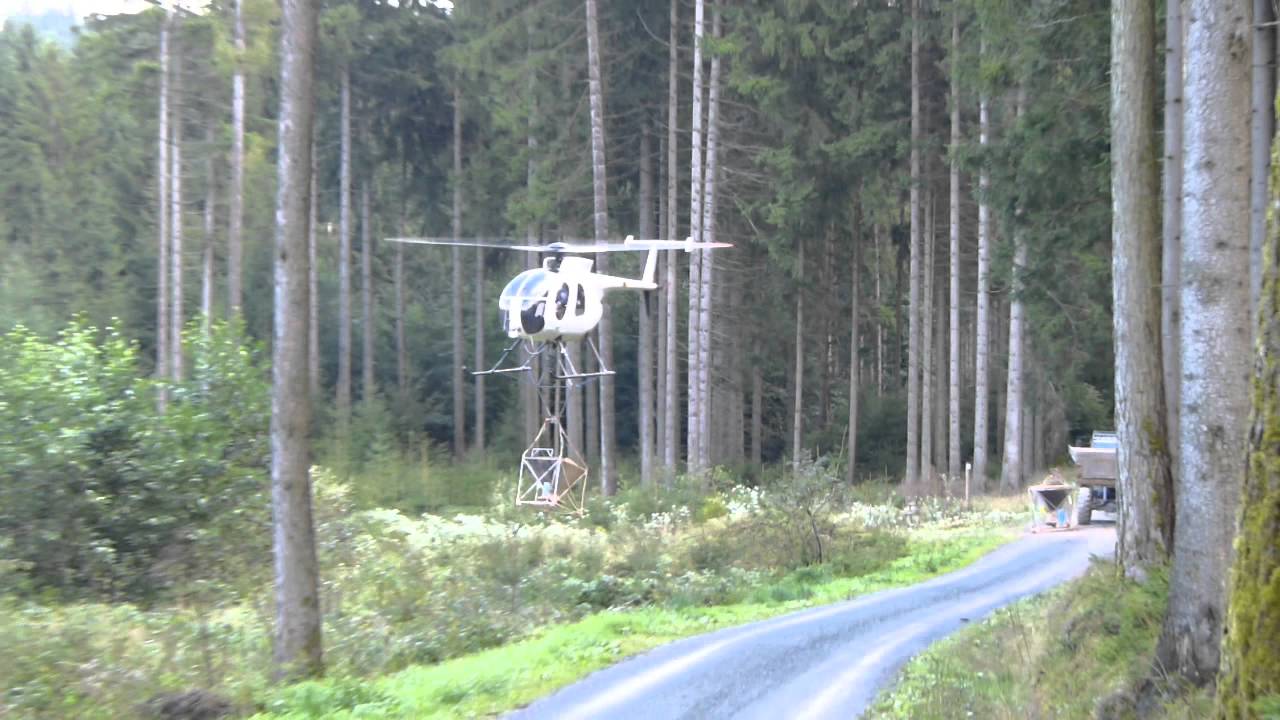 D-HOBY - Deep in the Woods