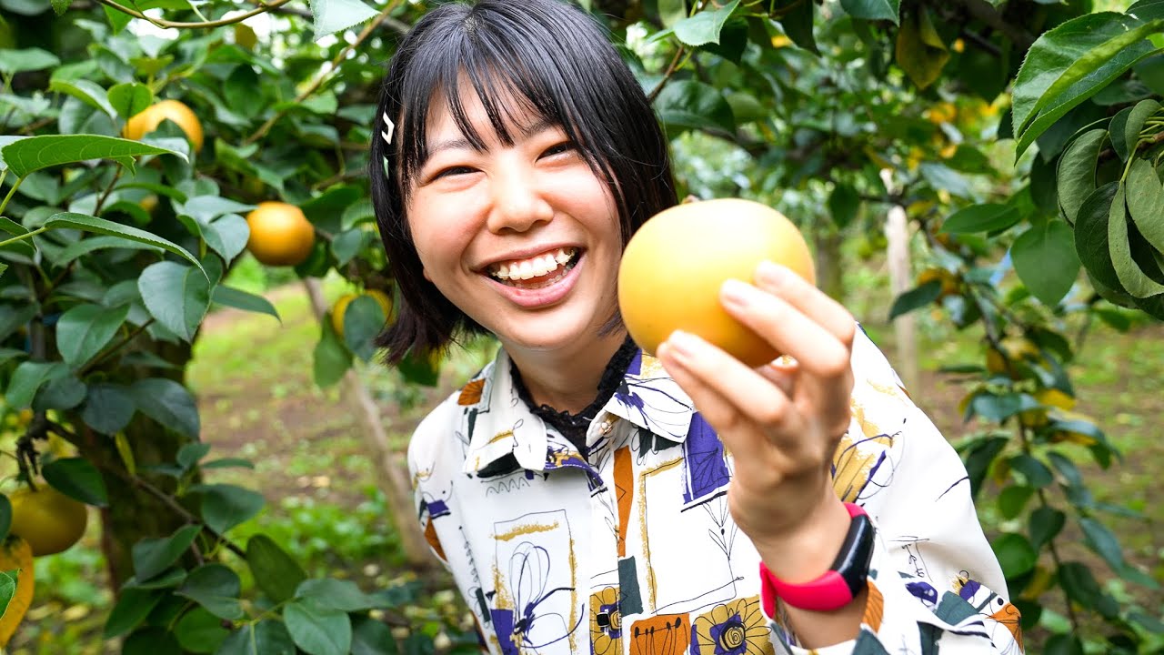 Food and Activities in Summer and Autumn | Akita Prefecture, Japan