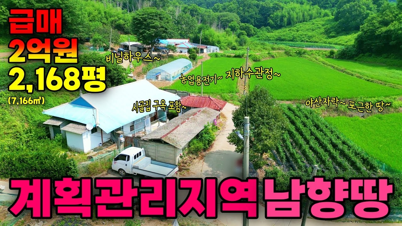 (NO.8609) 계획관리지역 2,168평 7,166㎡ 산자락 아늑한 청정지역 시골집 큰 대지 넓은 전을 급매처분 2억원
