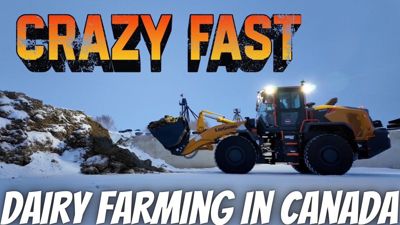 The Top Speed Of This Loader Is Insane!