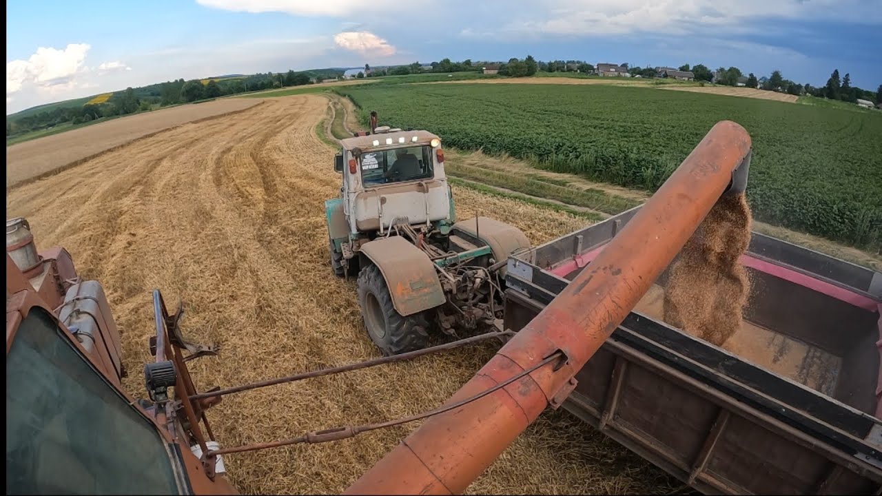 Жнива продовжуються❌Перша поломка НИВИ🥲Один Т 150К не вспіває возити від ниви🫢