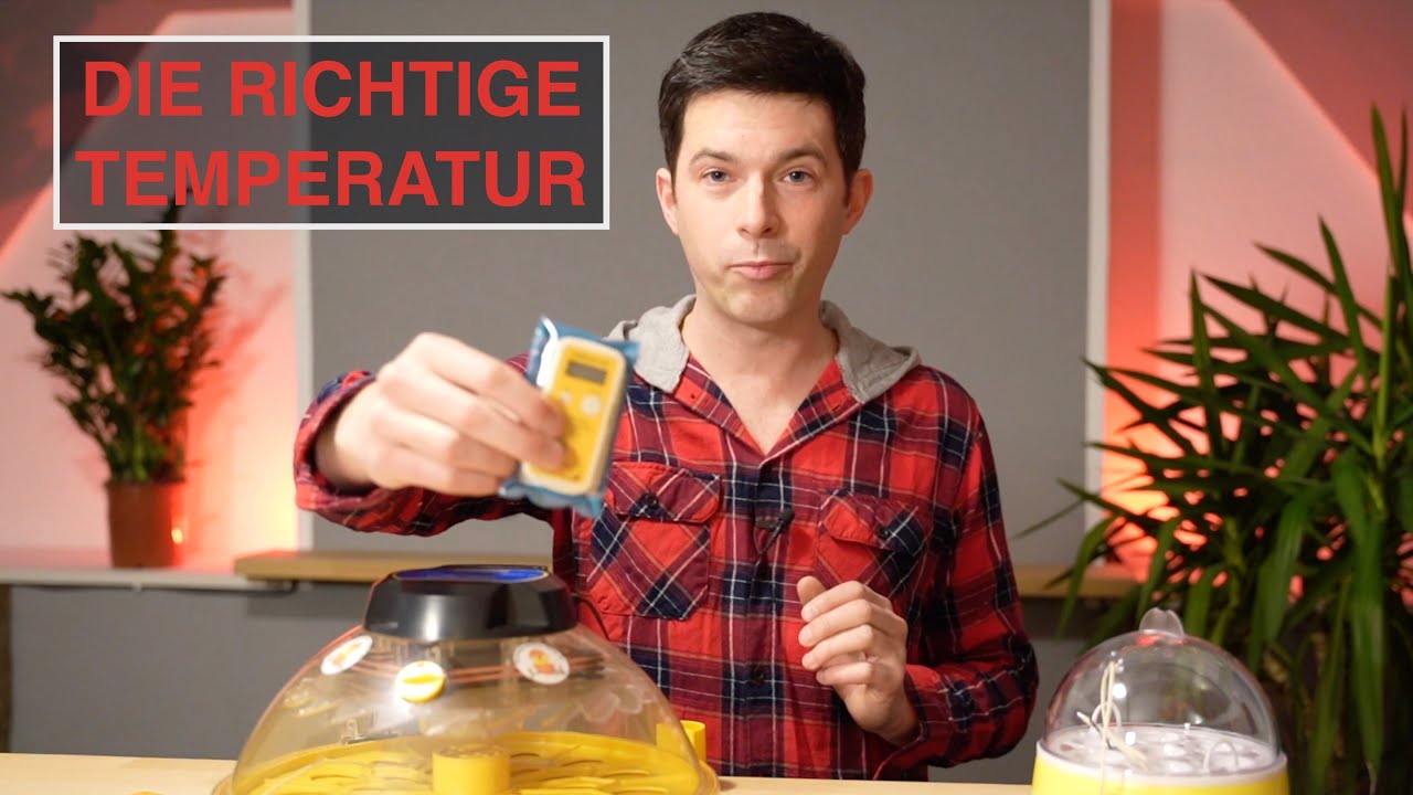Riesen Temperatur-Unterschiede in Brutmaschinen? Temperatur RICHTIG messen und erfolgreich Brüten!