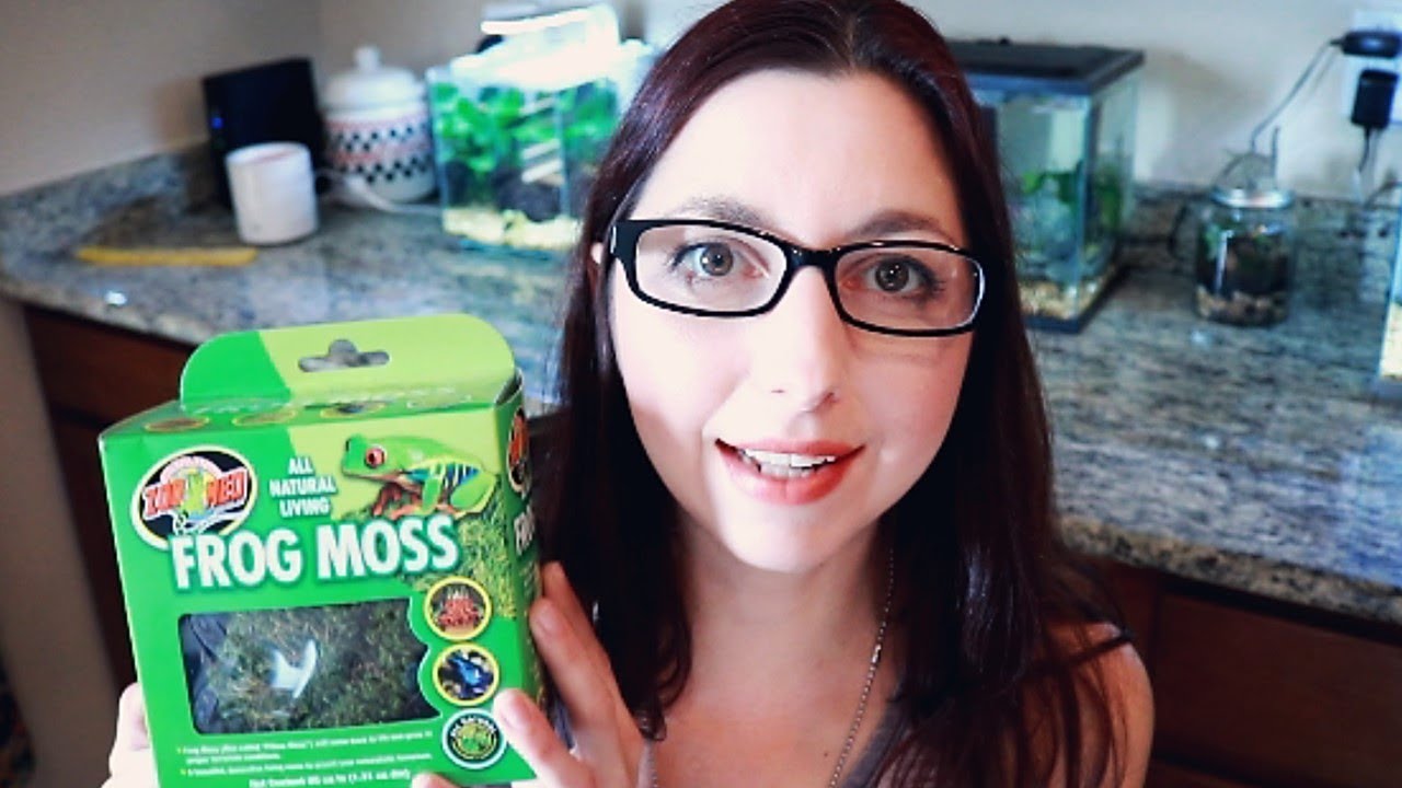 Zoo Med Frog Moss | Live Moss For Terrariums And Vivariums