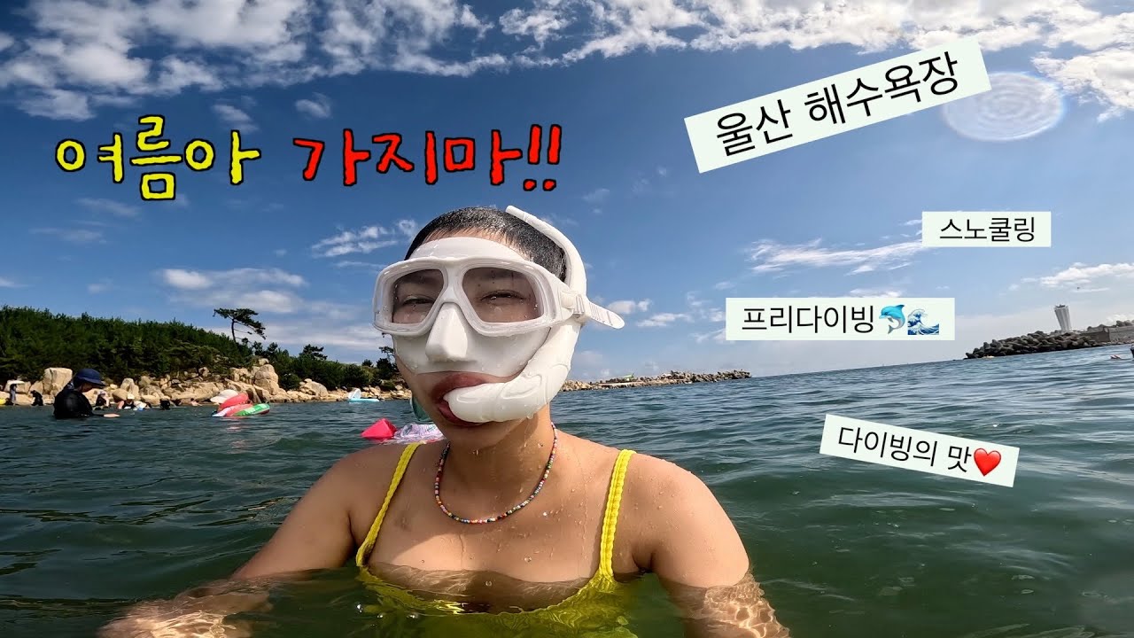 나만 알고싶은 한적한 해변 , 사람들이 모르는 울산 바다 추천 | 다이빙, 스노쿨링🏖️🌊