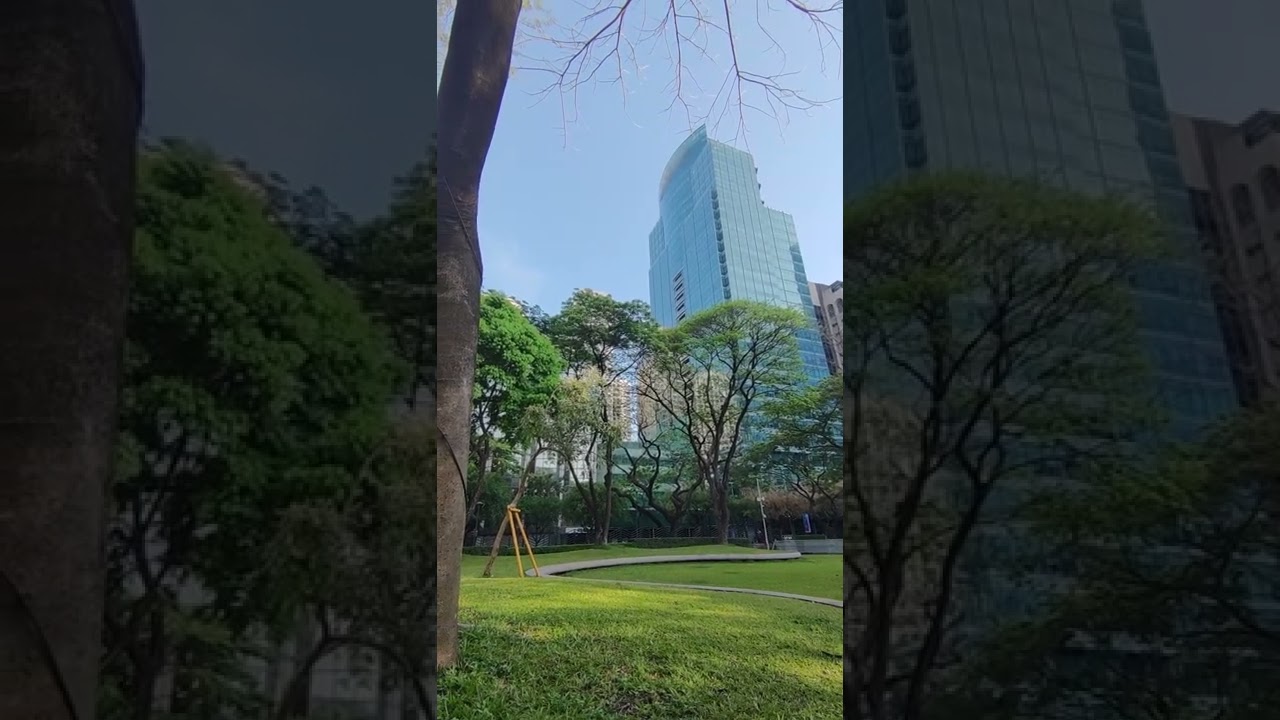Mobile Portrait Morning Park in The City Center Video Background