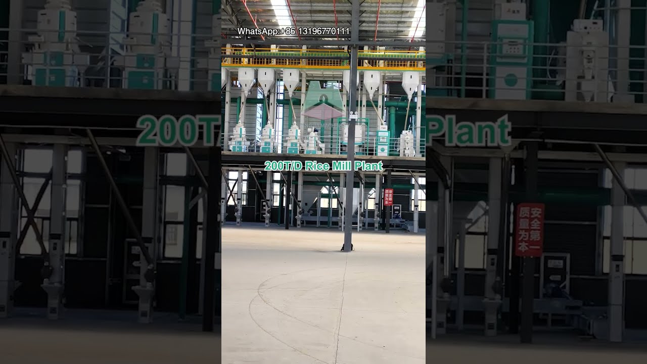 200T Rice Mill Plant | Rice Processing Machine Factory from China #ricemillsupplier #ricemill