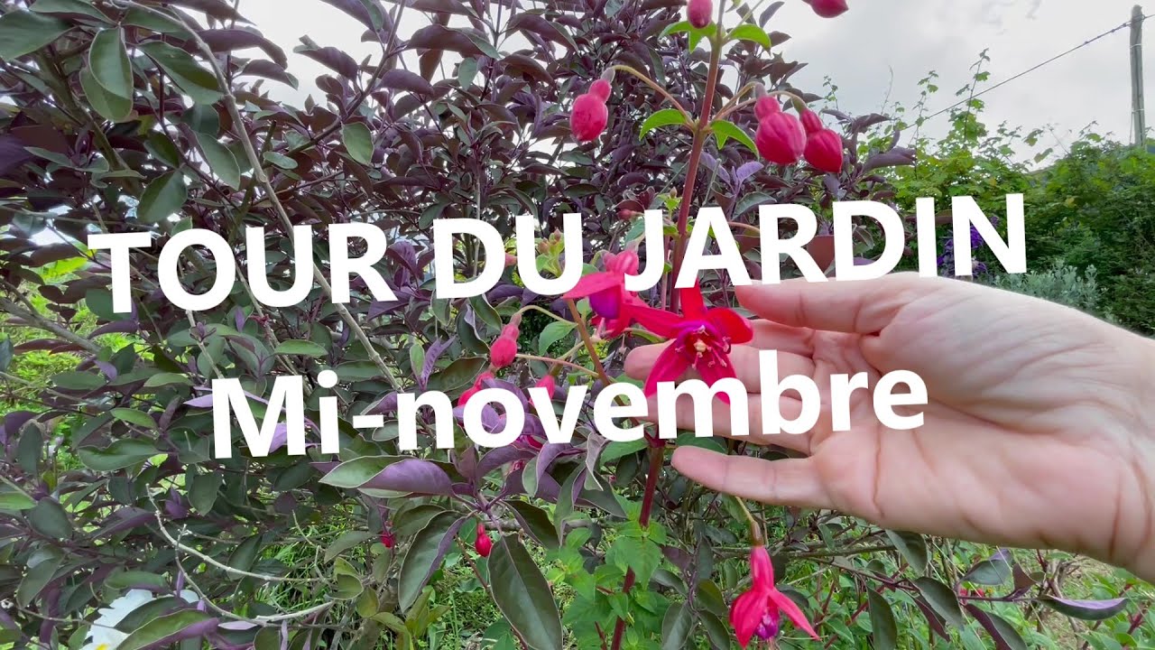 Tour du jardin à la mi-novembre