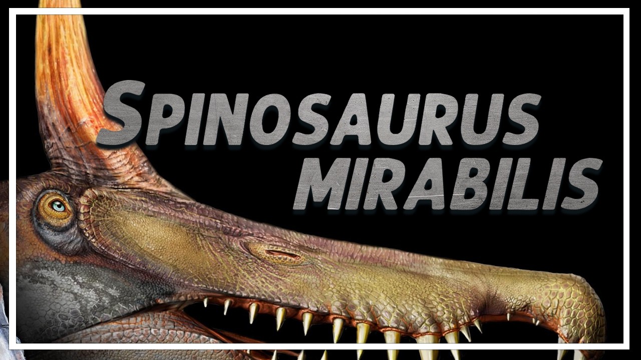 SPINOSAURUS MIRABILIS, un nuevo espinosaurio de Niger ¡con cresta!
