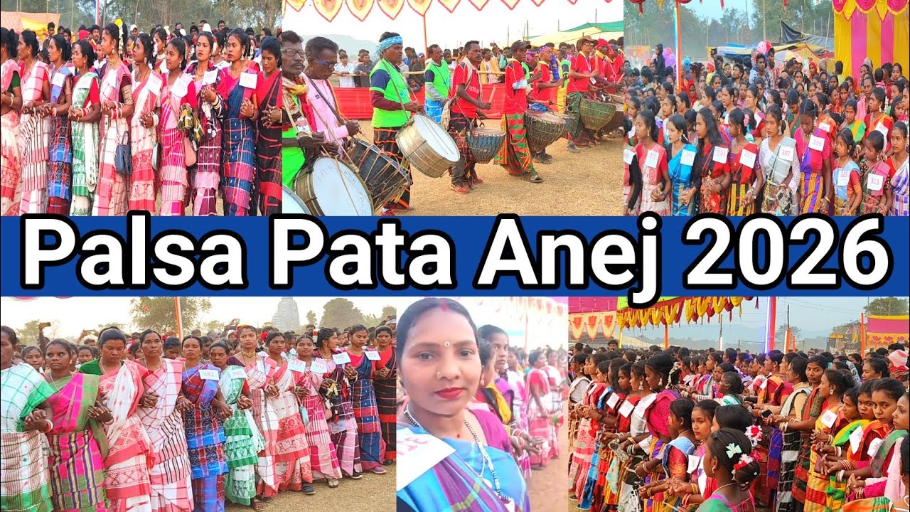 Palsa Pata Anej 2026 || Mayurbhanj Bahalda block || Sainik Santal Vlog 