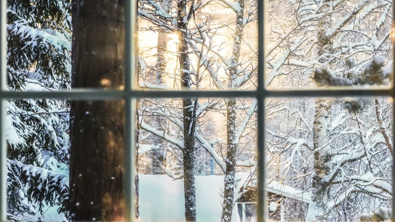 Winter Snow Scene Through Window Without Music | Relaxing Winter Ambience w/ Light Morning Snow
