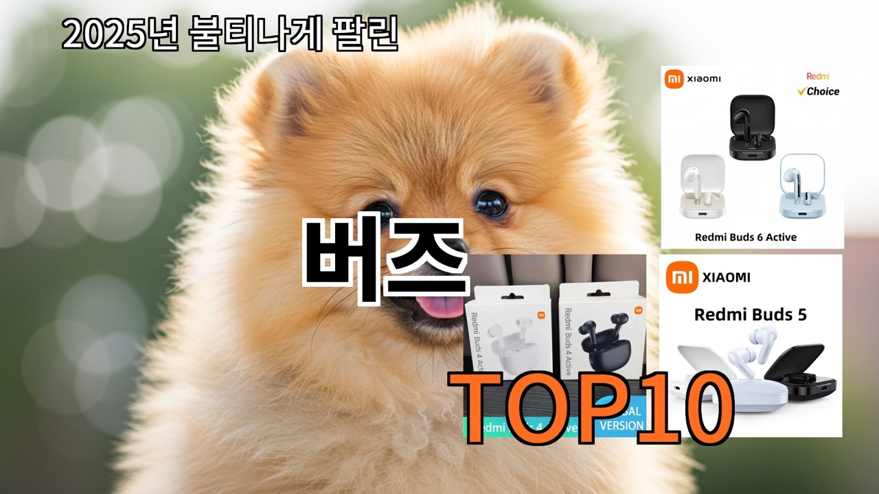 알리 버즈 써보니 가성비 인정할 수밖에 없음