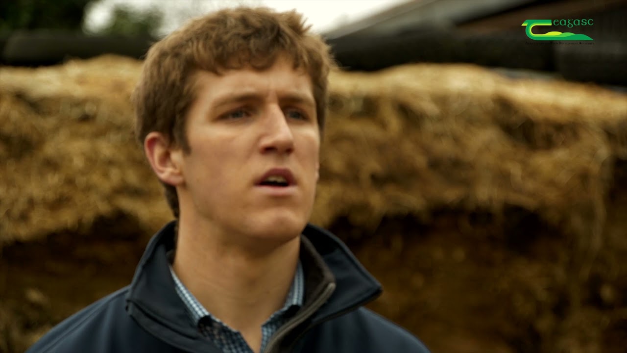 Silage Quality & Preservation with Aidan Nugent & Martin Woods - Farm Walk and Talk