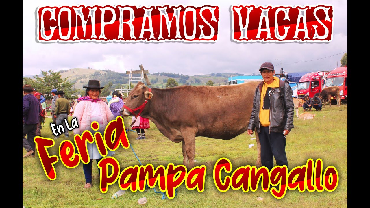 FERIA DE GANADOS