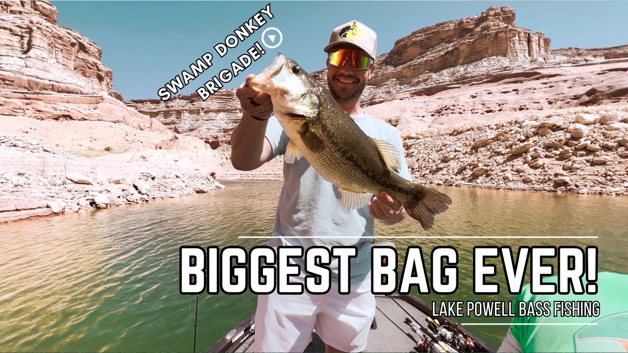 Best average weight of fish we've ever had! | Lake Powell Spring Bass Fishing