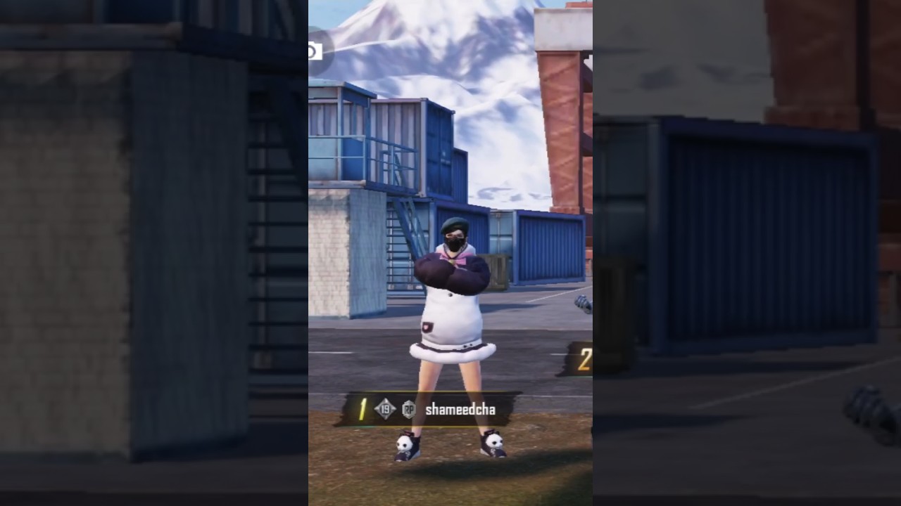 #mallugang #pubgmobile #shameedcha #shorts