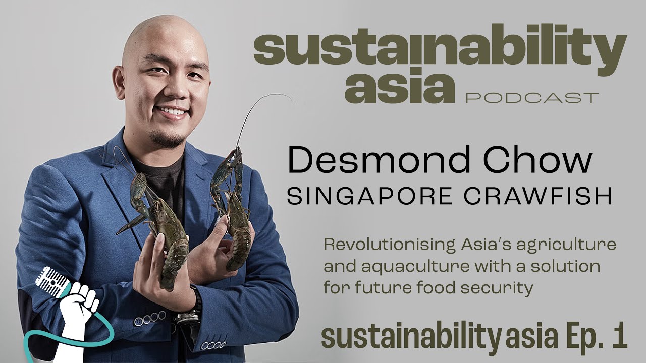 Sustainability Asia Ep 1 Desmond Chow Singapore Crawfish