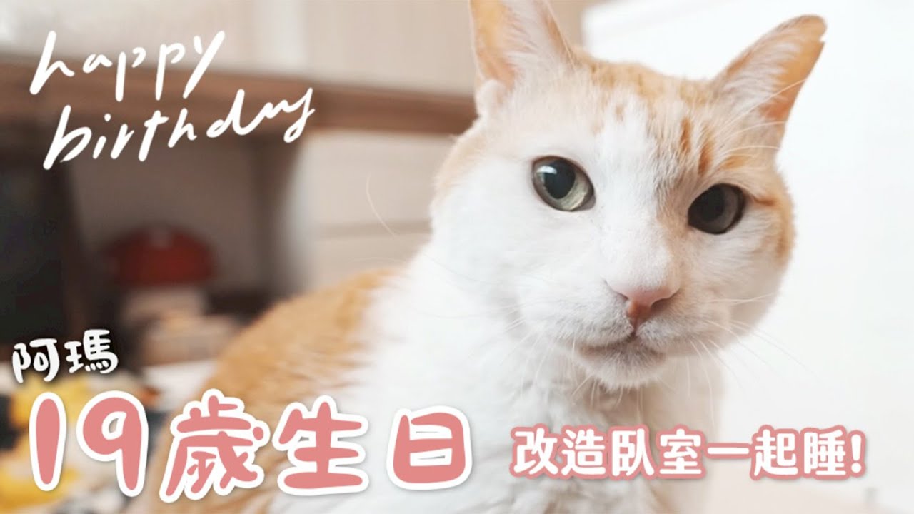 【黃阿瑪的後宮生活】阿瑪19歲生日！改造臥室一起睡！