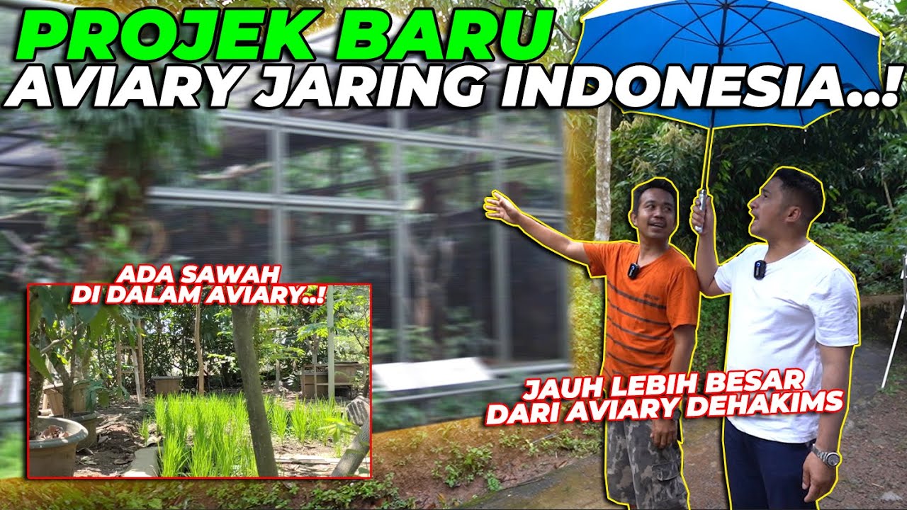 PROJEK RAHASIA AVIARY JARING..! BAKAL LEBIH LUAS DARI AVIARY DEHAKIMS NIH