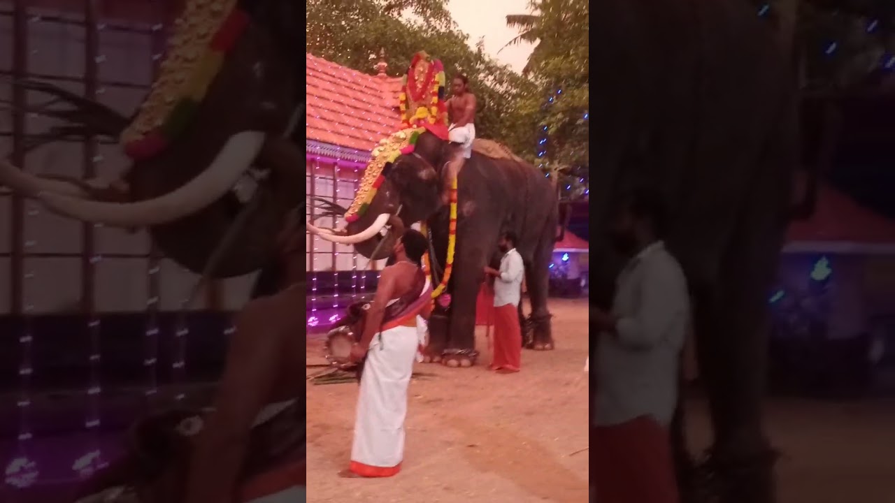 palliyara temple 🐘