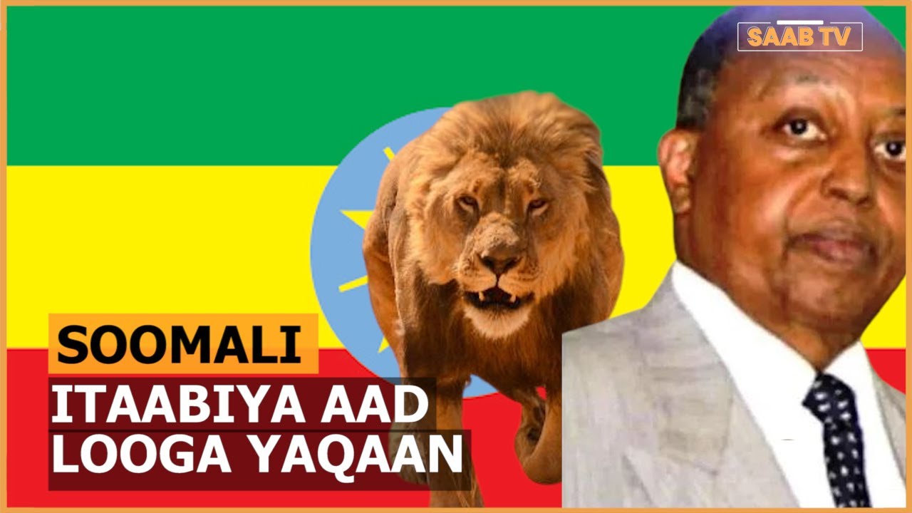 Kumuu Ayuu Siyaasigii Soomaaliyeed Ee Itoobiyaanku u Yaqaanay Libaaxii Caqliga Badnaa ?
