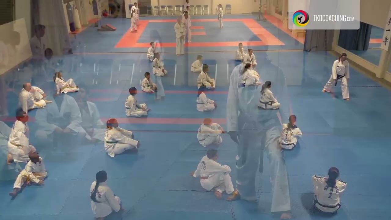Junior Taekwon-Do Patterns &ndash; Spot Turn in Do-San