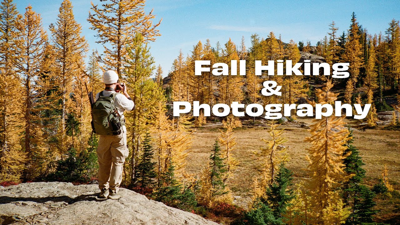 Photographing Washington's Larch Trees on Slide Film