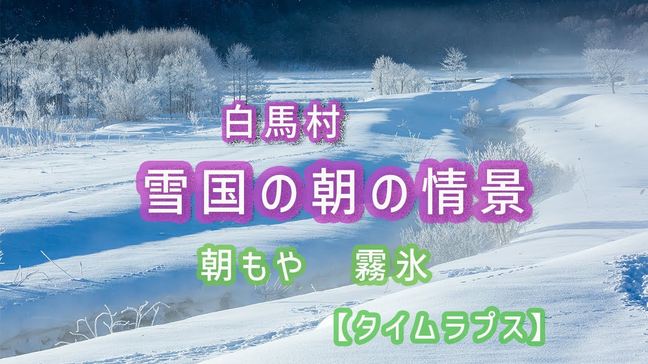 雪国の朝の情景／白馬村　朝もや揺れる霧氷の世界　【タイムラプス】