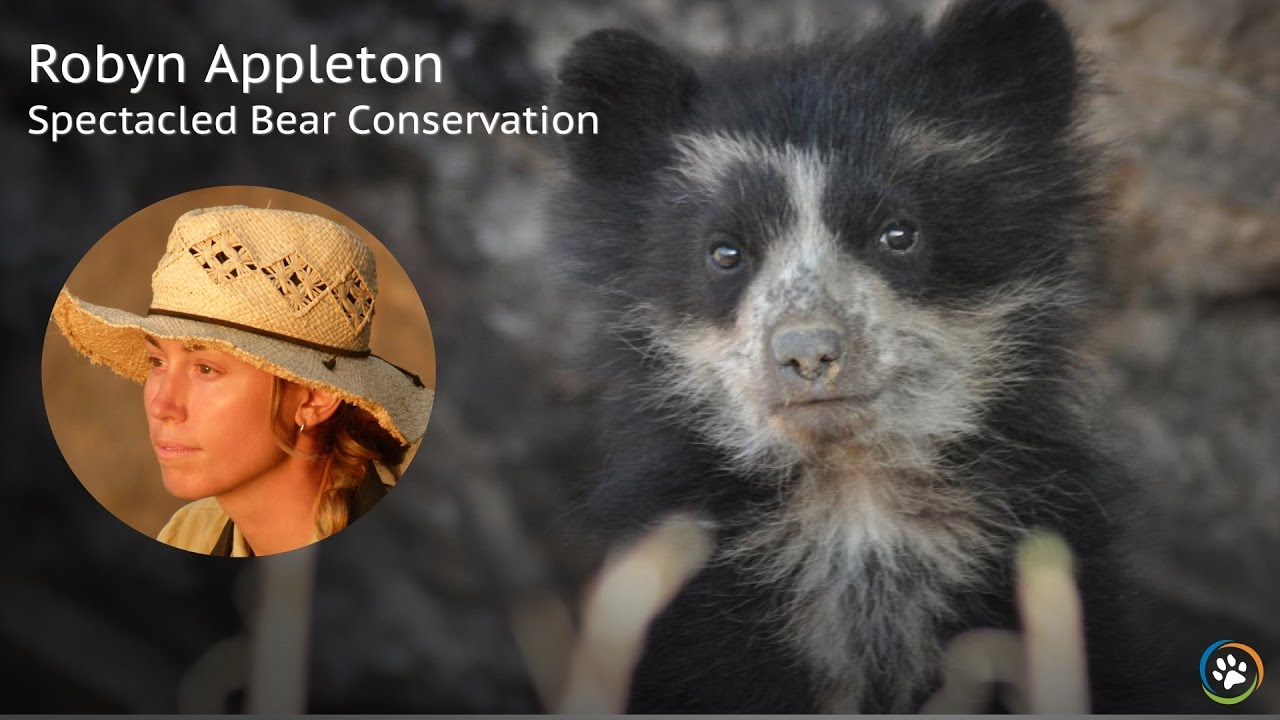 Spectacled Bear Conservation &middot; Spring Expo 2017 &middot; Robyn Appleton