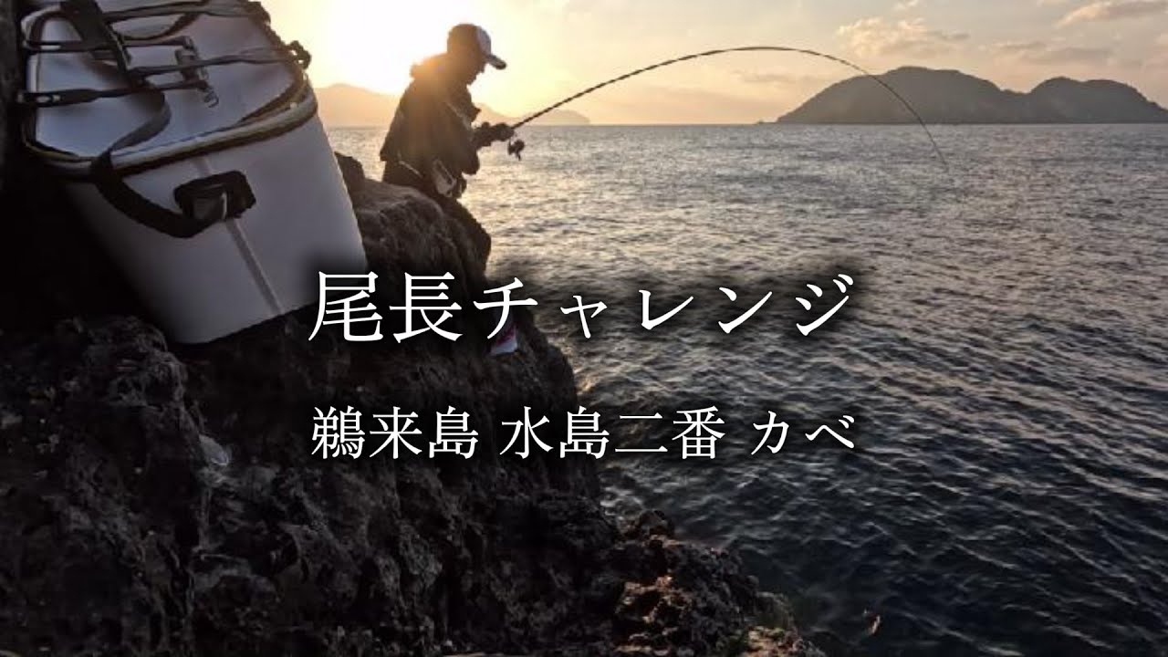 尾長チャレンジ　鵜来島　水島二番　カベ