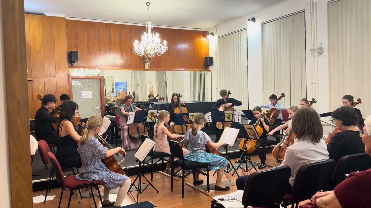 Vcella - White Rainbow cello