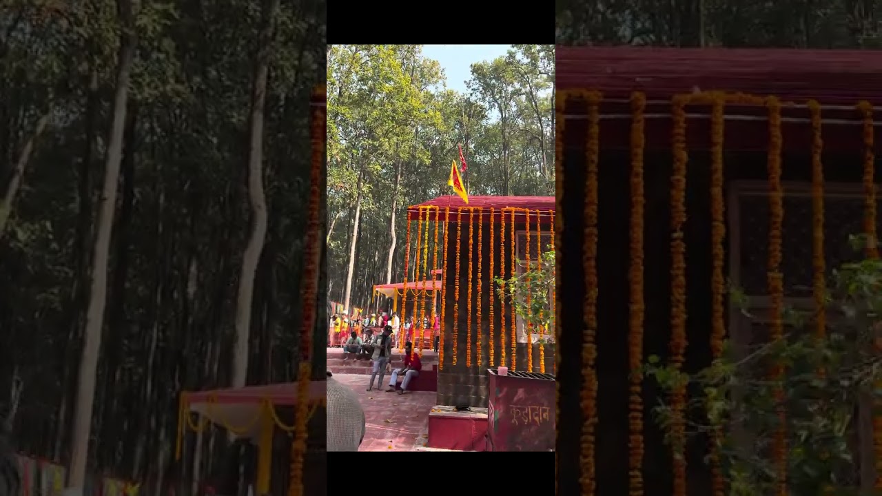 काली चौड़ मंदिर दर्शन🙏