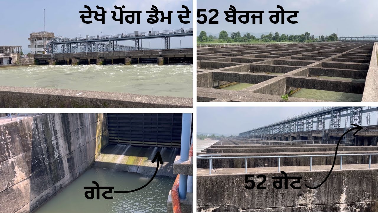 ਦੇਖੋ ਪੌਂਗ ਡੈਮ ਦੇ 52 ਬੈਰਜ ਗੇਟ(52 barrage gate at beas river) Talwara