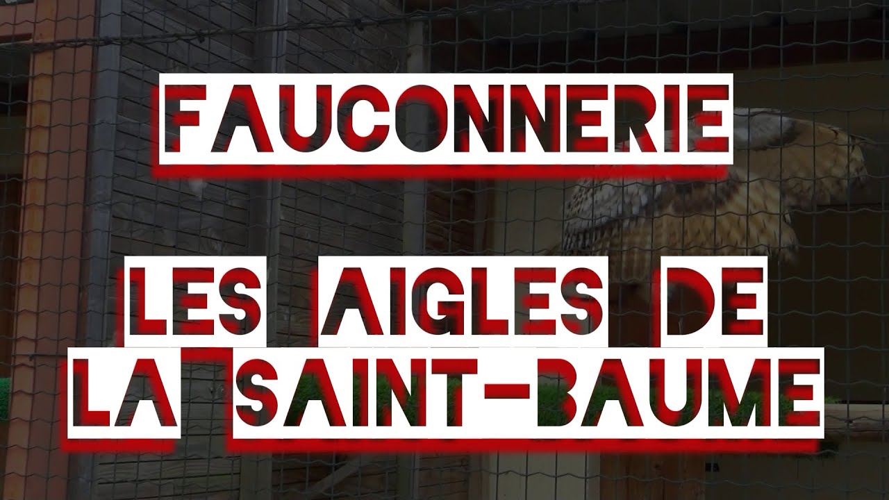 88 - Fauconnerie Les Aigles de la Saint Baume