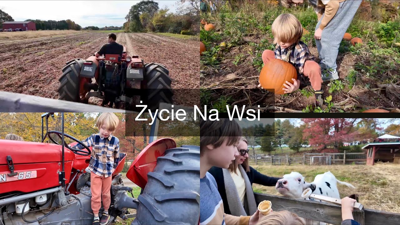 Życie na Wsi l Jak nasze życie wygląda na codzień l Zbieramy Zbiory l Jesień l Czas Świąteczny vlog