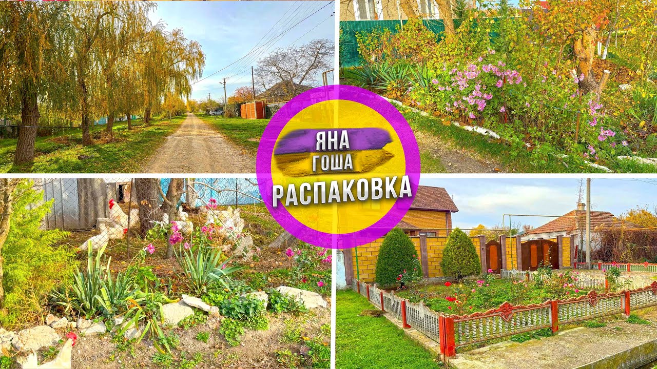 Крымское село зимой. Зелень, цветы и бабочки! Зима в Крыму.