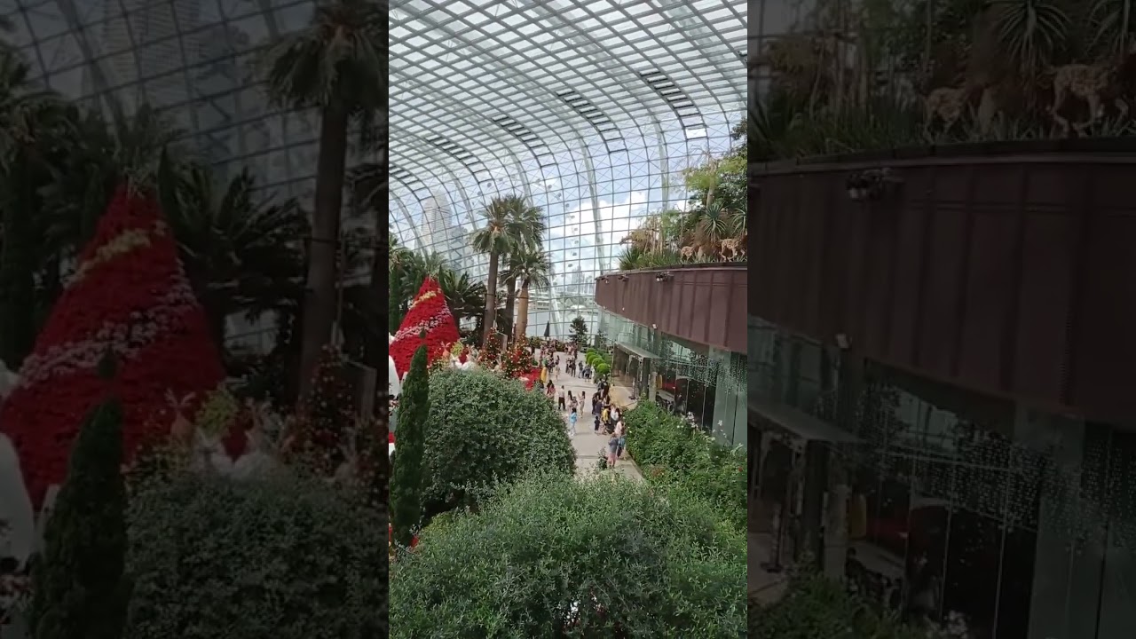 #flowerdome #gardensbythebaysingapore