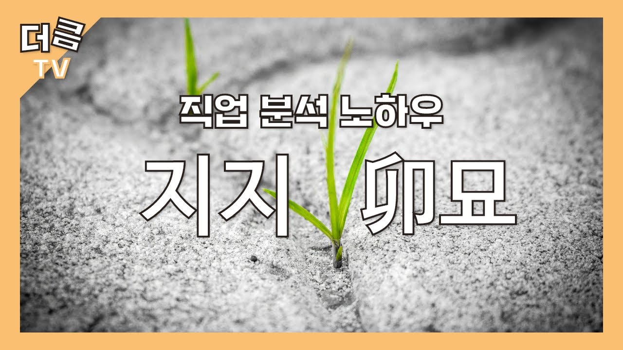 [중급 명리학 지지] 지지 卯묘의 특징과 분석 방법 (창광 김성태의 명리학 노하우)