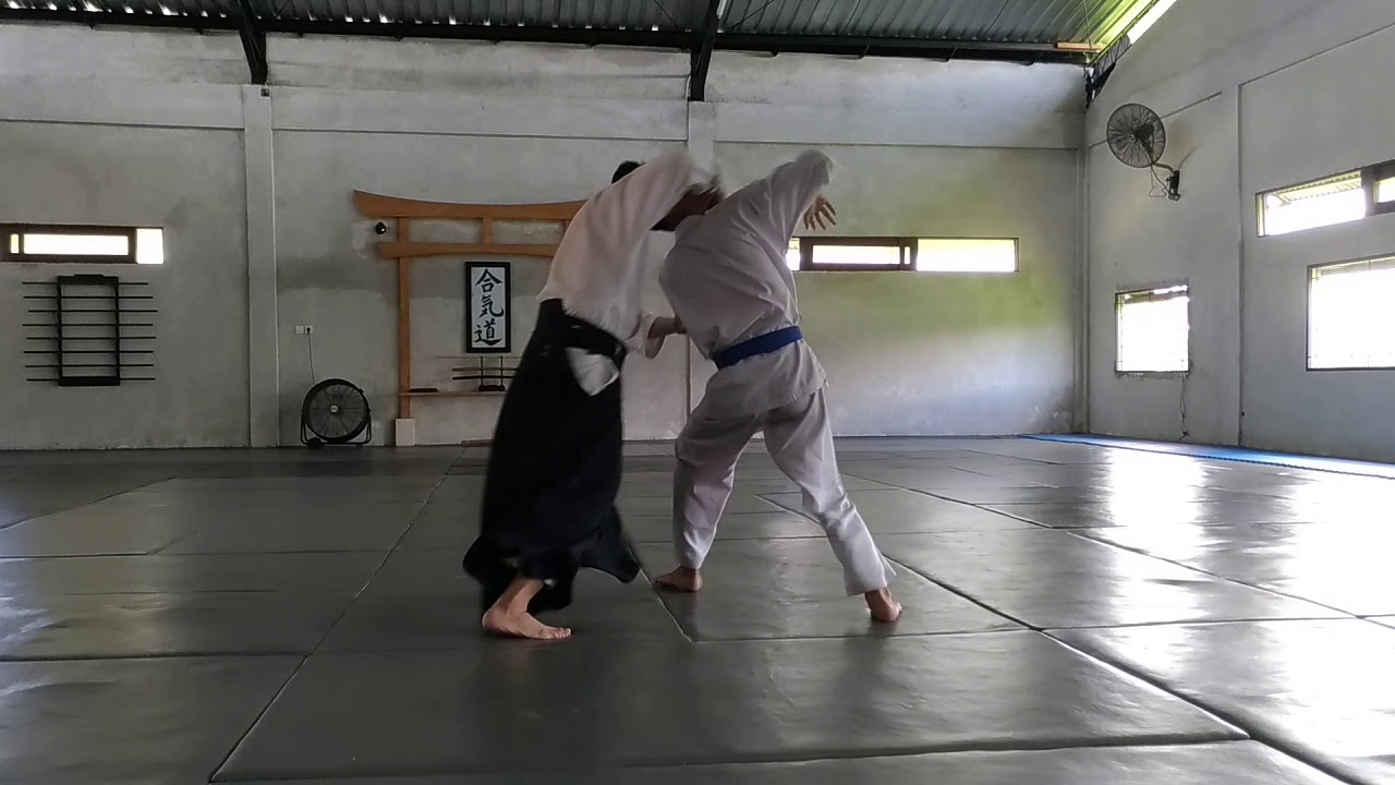 Demonstration by Kanno Sensei 4th Dan Aikikai of Ahimsa Dojo