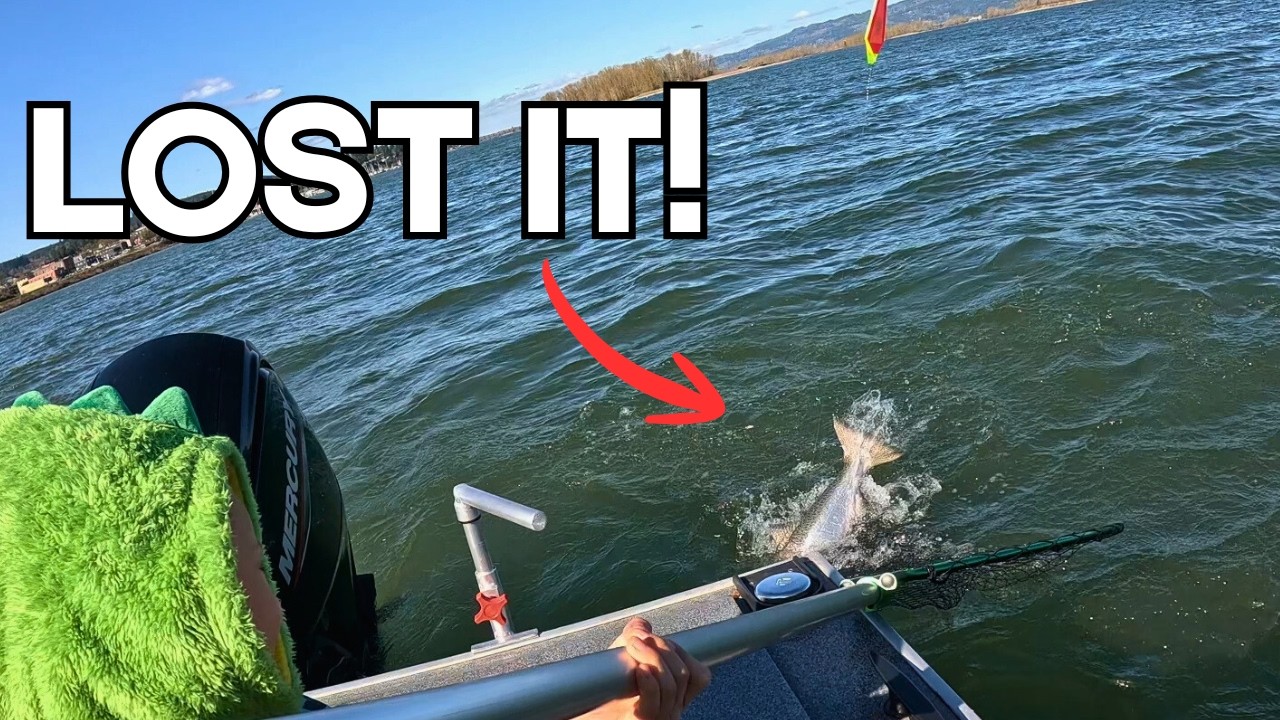 Columbia River Spring Chinook - March 2026