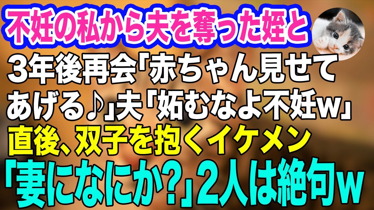 夫を奪った姪と3年ぶりに偶然再会「独身オバさんに赤ちゃん見せてあげる♪」夫「妬むなよ不妊w」→直後、双子を抱くイケメン「妻がお世話になってます」2人「はっ？」【スカッとする話】