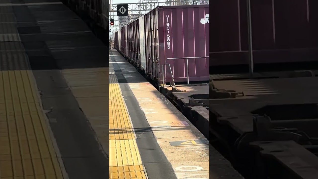 東加古川駅で貨物の往来と新快速と普通電車